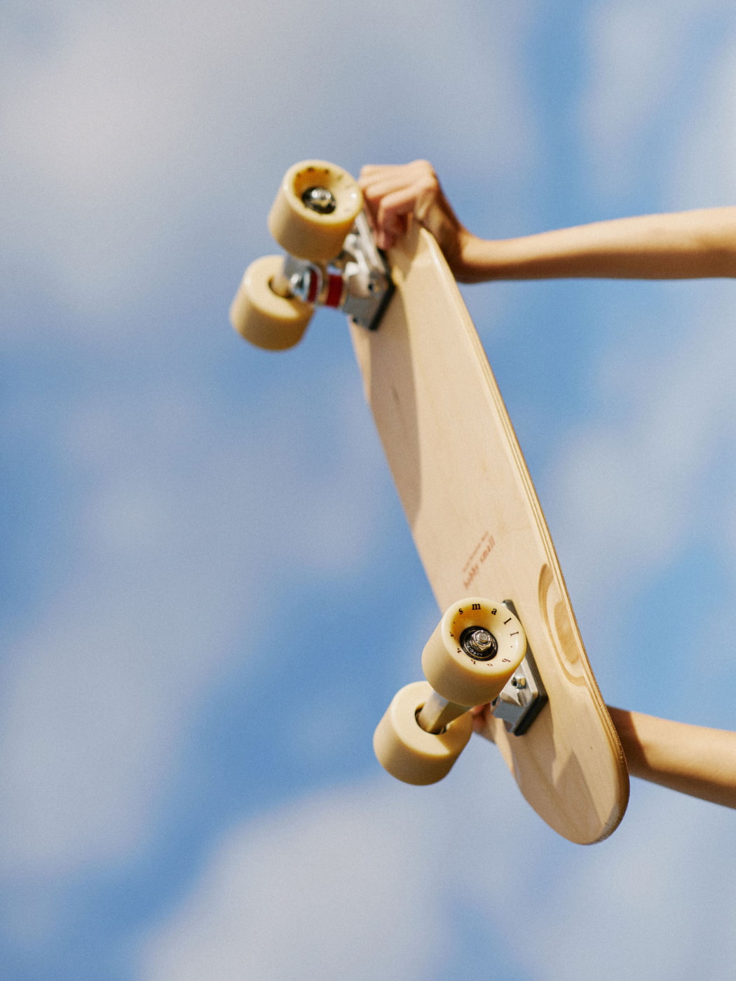 Cruiser Skateboard - Snake Vine 