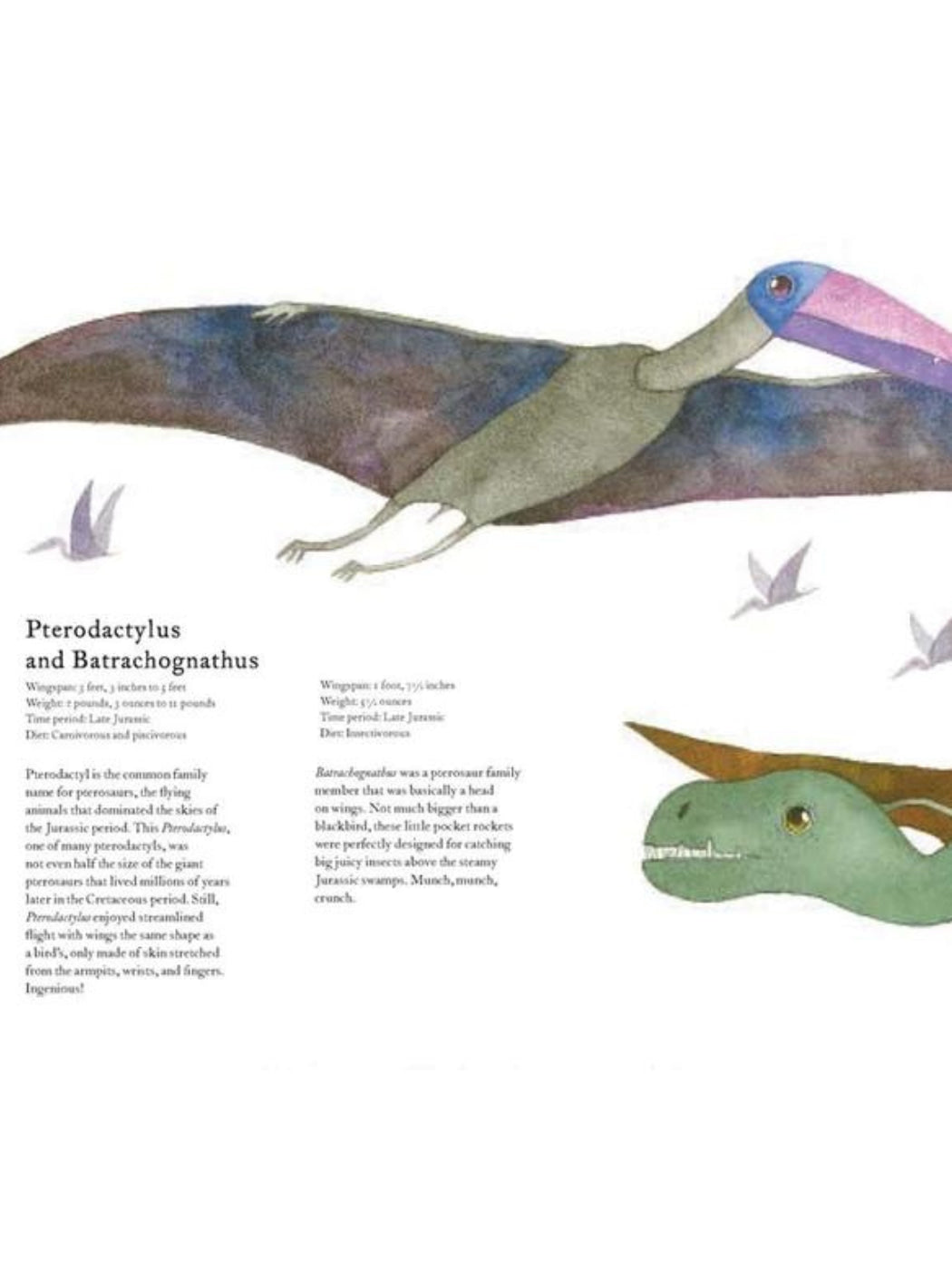 Dinosaurs and Other Prehistoric Creatures