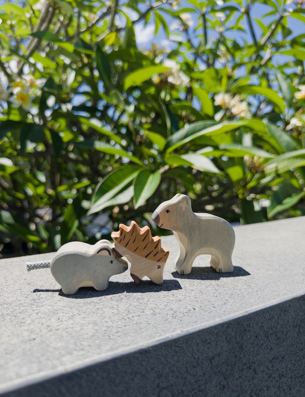 Holztiger_Wooden_Animal_Toys_Australia_2.jpg