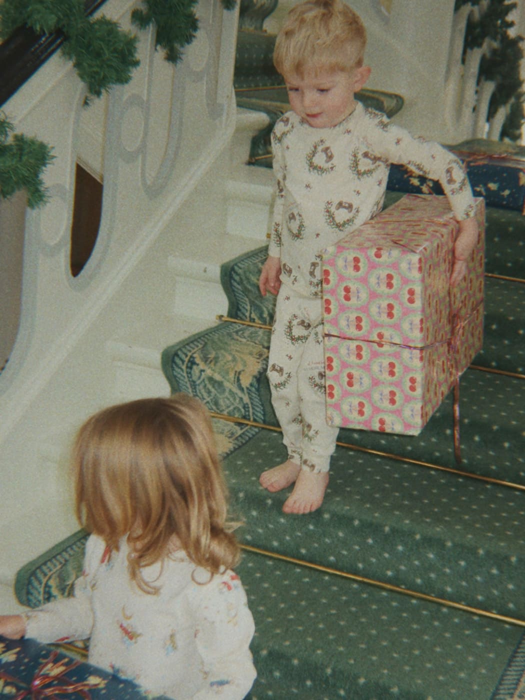 Wrapping Paper - Deer Diary (Pickup Only)