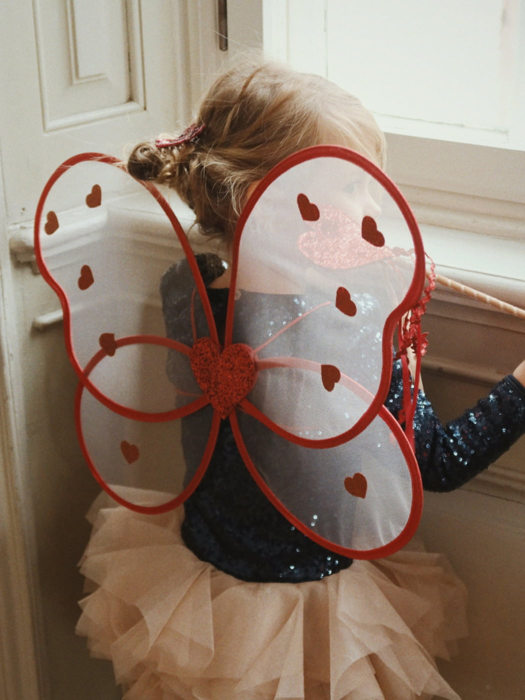 Fairy Costume - Heart