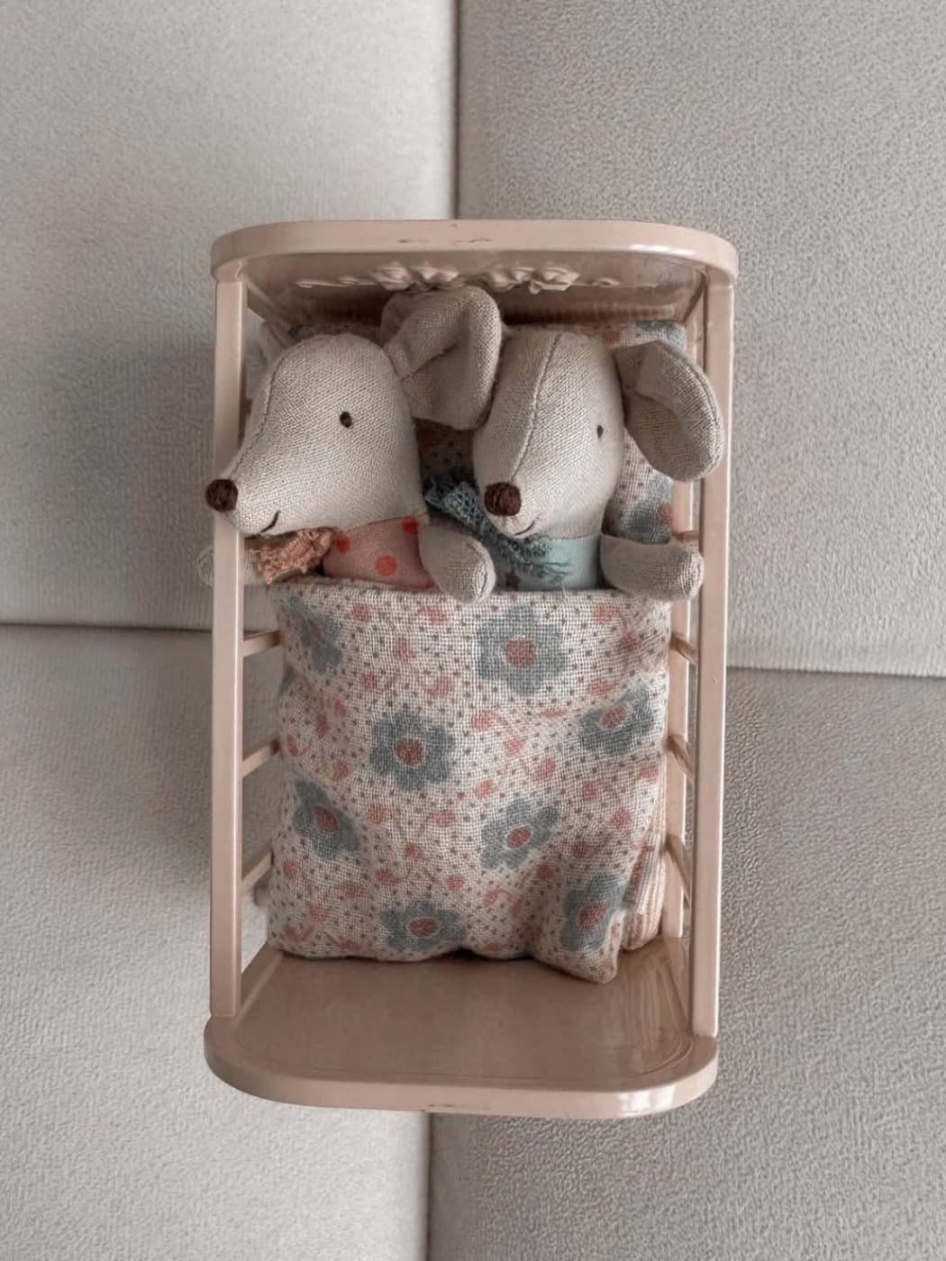 Zwillingsbaby-Mäuse in Streichholzschachtel 