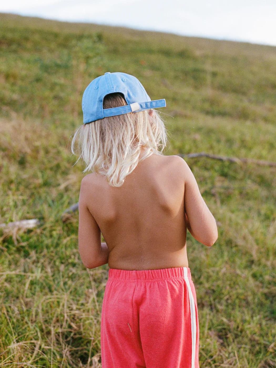 Millk Cap - Blue