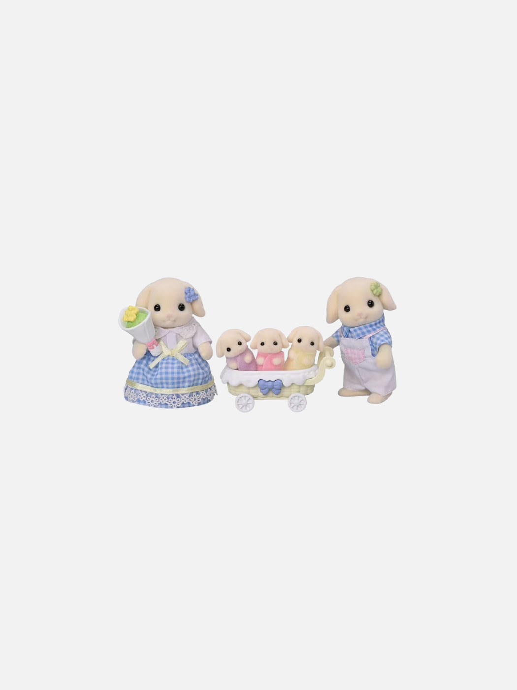 Flora Rabbit Family