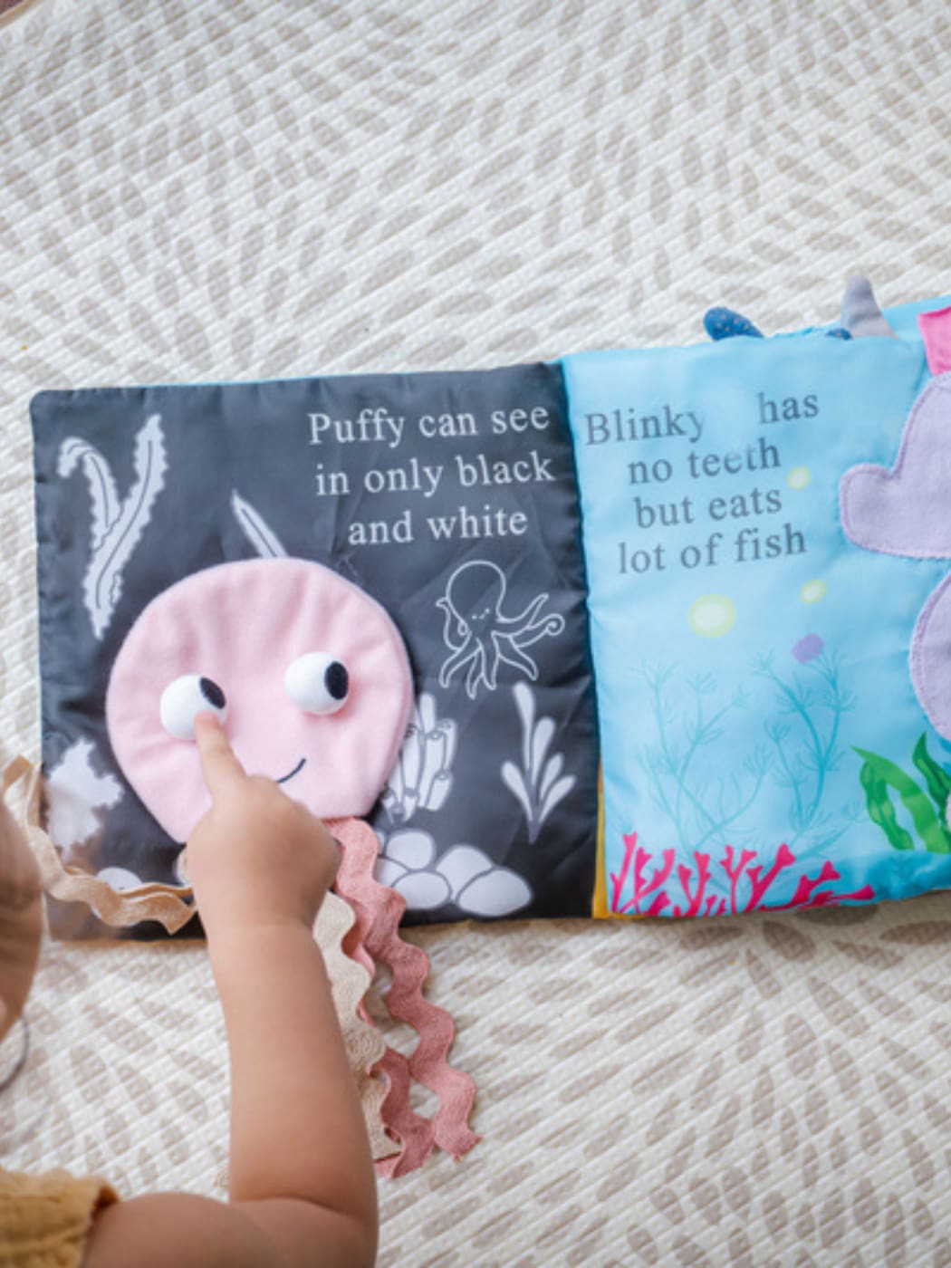 Ocean Activity Book