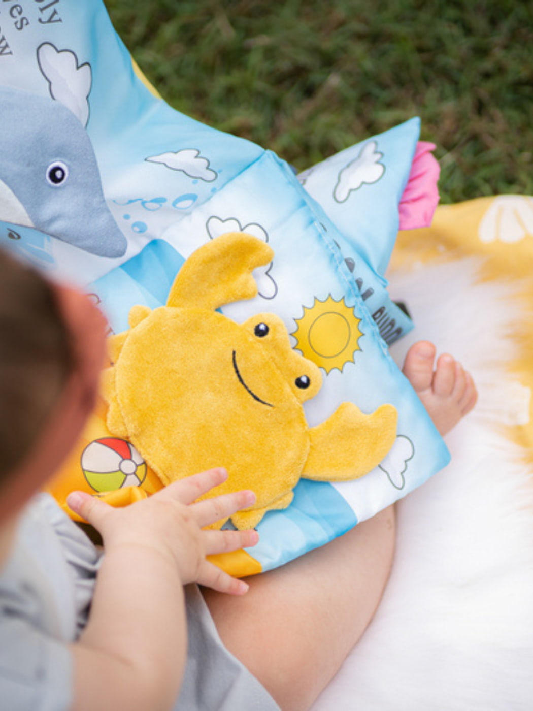 Ocean Activity Book